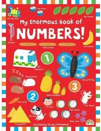 Coperta cărții My Enormous Books of Numbers