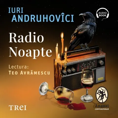 Coperta cărții Radio Noapte (audiobook)