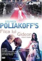 Coperta cărții Fiica lui Gideon