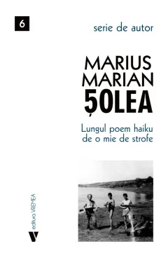 Coperta cărții Lungul poem Haiku de o mie de strofe