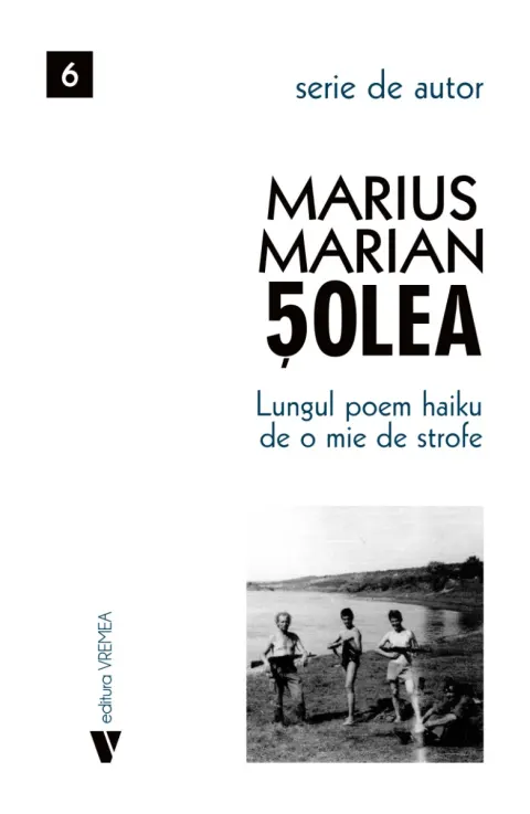 Coperta cărții Lungul poem Haiku de o mie de strofe