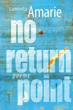 Coperta cărții No return point