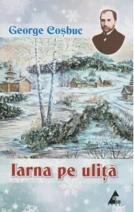 Coperta cărții Iarna pe ulita. Poezii pentru gradinita