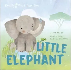 Coperta cărții Little Elephant