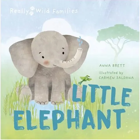 Coperta cărții Little Elephant