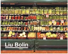 Coperta cărții Liu Bolin
