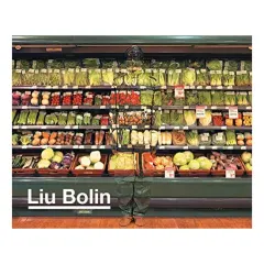 Coperta cărții Liu Bolin