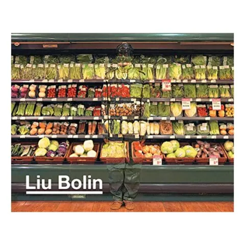 Coperta cărții Liu Bolin