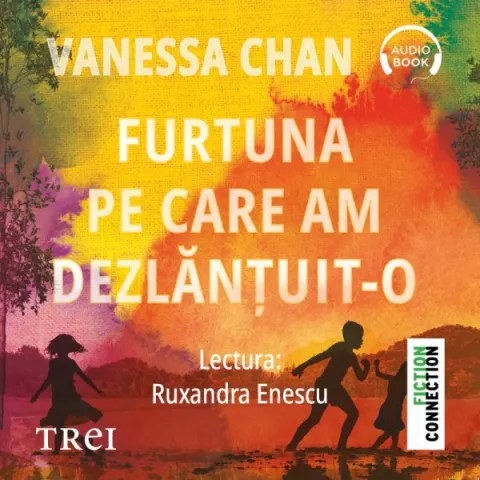 Coperta cărții Furtuna pe care am dezlănțuit-o (audiobook)
