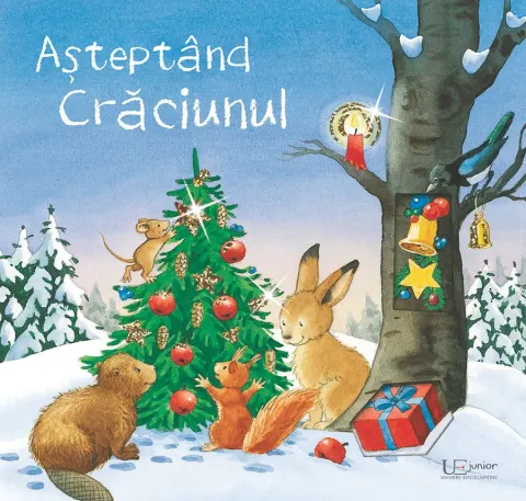 Coperta cărții Asteptand Craciunul