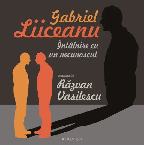 Coperta cărții Intalnire cu un necunoscut (mp3)
