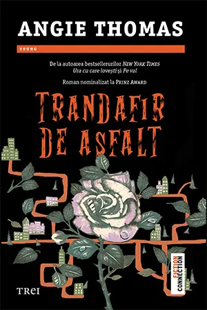 Coperta cărții Trandafir de asfalt