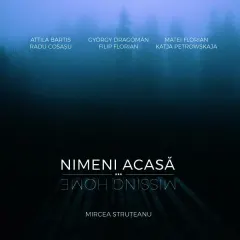 Coperta cărții Album Nimeni acasă / Missing Home