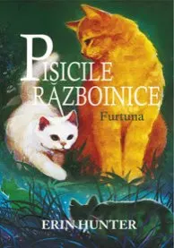 Coperta cărții Pisicile Razboinice Vol.4: Furtuna