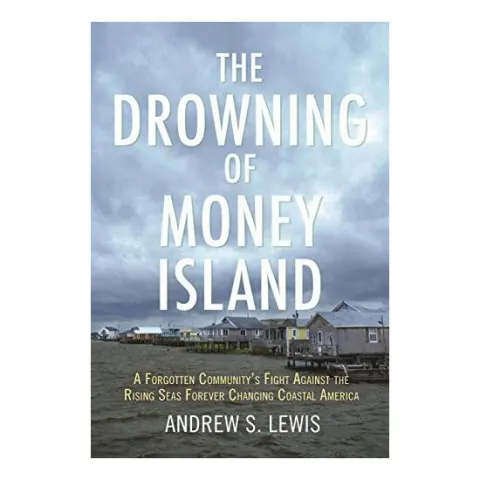 Coperta cărții The Drowning of Money Island