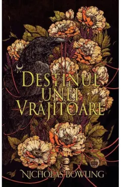 Coperta cărții Destinul unei vrăjitoare