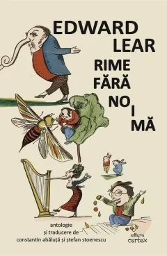 Coperta cărții Rime fără noimă