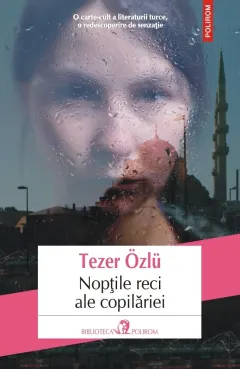 Coperta cărții Nopțile reci ale copilăriei
