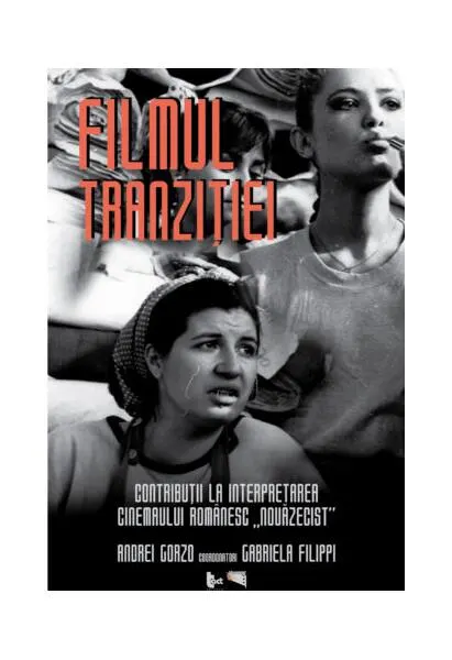 Coperta cărții Filmul tranziției. Contribuții la interpretarea cinemaului românesc „nouăzecist”