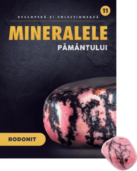 Coperta cărții Rodonit. Volumul 11. Mineralele Pamantului