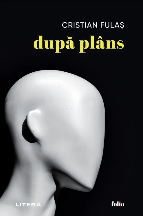 Coperta cărții Dupa plans