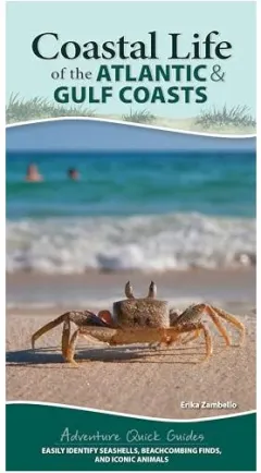 Coperta cărții Coastal Life of the Atlantic and Gulf Coasts