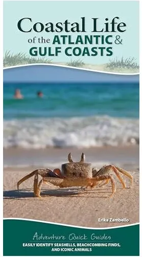 Coperta cărții Coastal Life of the Atlantic and Gulf Coasts