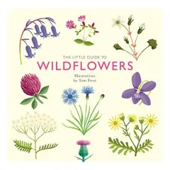 Coperta cărții Little Guide to Wildflowers, Alison Davies, Tom Frost