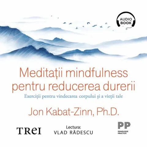 Coperta cărții Meditații mindfulness pentru reducerea durerii. Exerciții pentru vindecarea corpului și a vieții tale (audiobook)