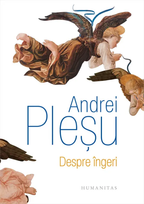Coperta cărții Despre ingeri