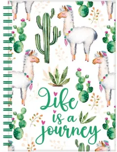 Coperta cărții Llamas & Cactus