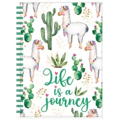 Coperta cărții Llamas & Cactus