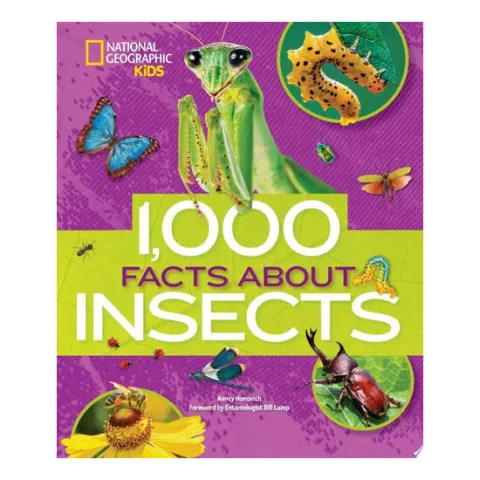 Coperta cărții 1,000 facts about insects