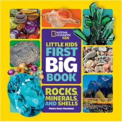Coperta cărții Little kids first big book: rocks, minerals, and shells