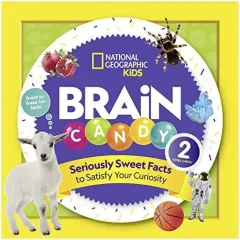 Coperta cărții Brain Candy 2