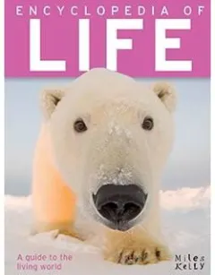 Coperta cărții Encyclopedia of life