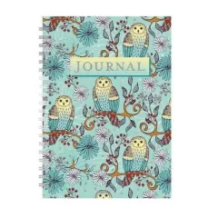 Coperta cărții Owls in Teal