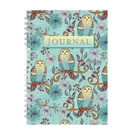 Coperta cărții Owls in Teal