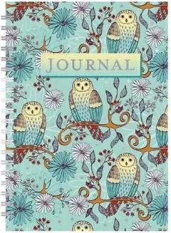 Coperta cărții Owls in Teal