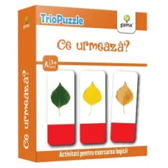 Coperta cărții TrioPuzzle: Ce urmeaza?