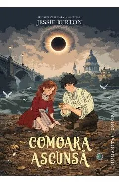 Coperta cărții Comoara ascunsa