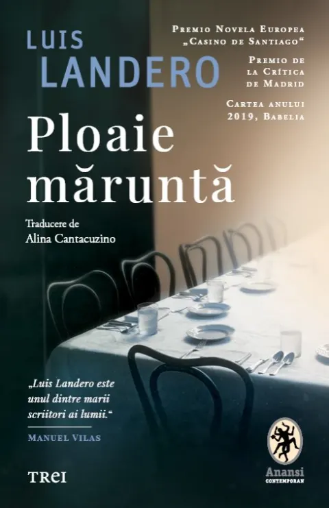 Coperta cărții Ploaie măruntă