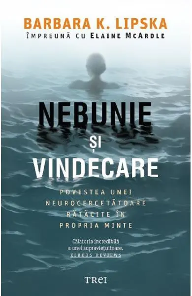 Coperta cărții Nebunie si vindecare