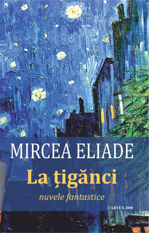 Coperta cărții La tiganci