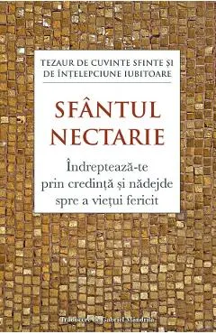 Coperta cărții Indrepteaza-te prin credinta si nadejde spre a vietui fericit - Sfantul Nectarie