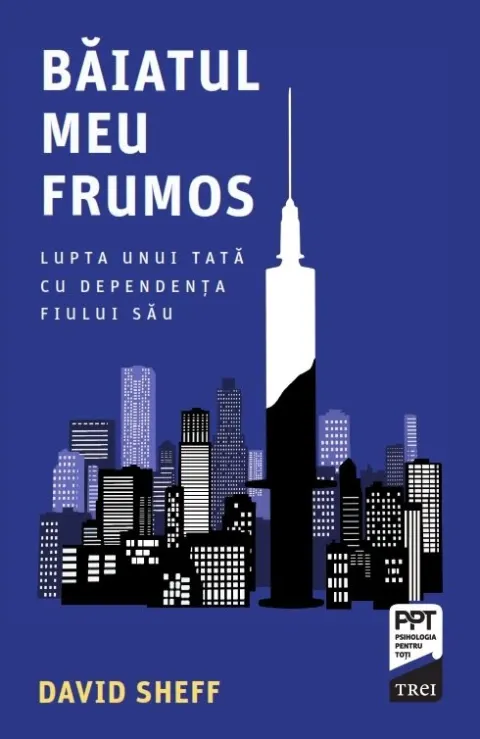 Coperta cărții Băiatul meu frumos. Lupta unui tată cu dependența fiului său