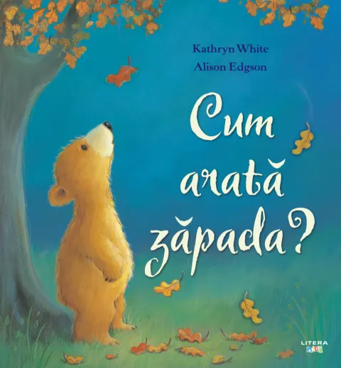 Coperta cărții Cum arata zapada?