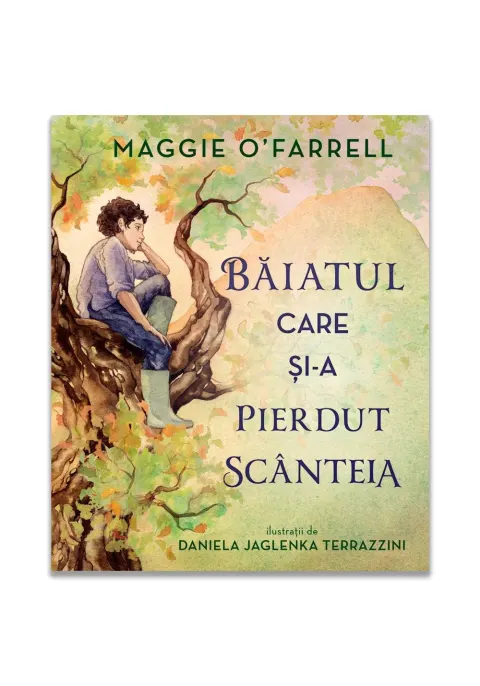 Coperta cărții Băiatul care și-a pierdut scânteia