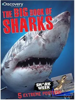 Coperta cărții The Big Book of Sharks