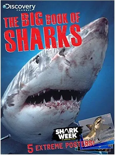 Coperta cărții The Big Book of Sharks